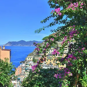 5-terre-for-you.hotelitalianriviera.com/